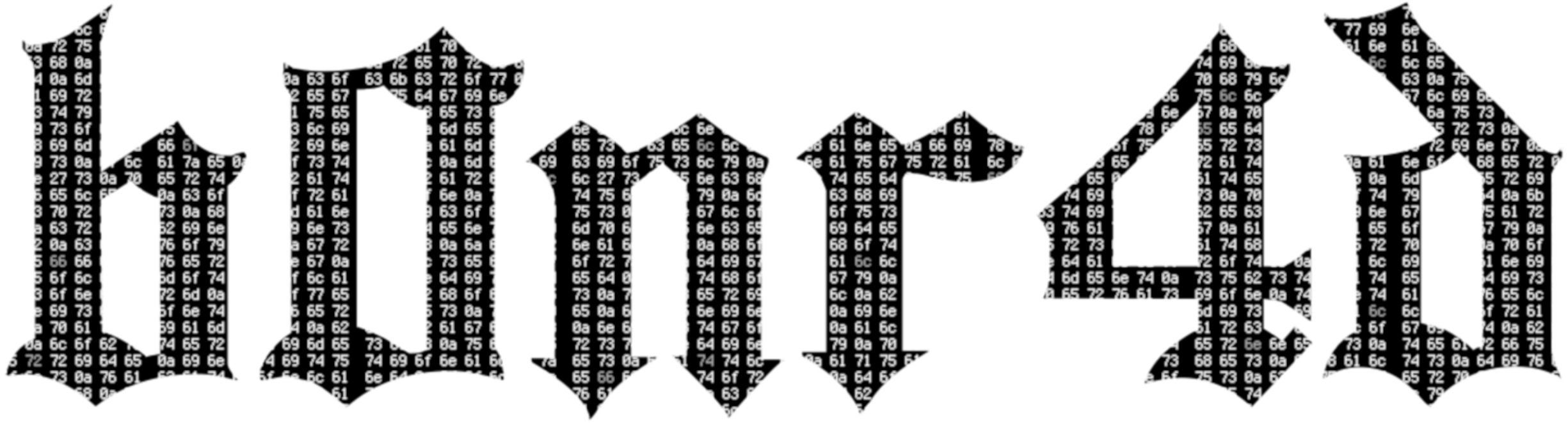 b0nr4d logo